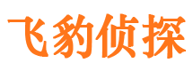 冷湖侦探公司